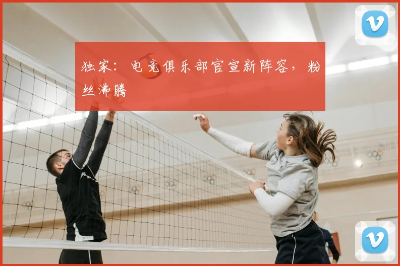 独家:电竞俱乐部官宣新阵容,粉丝沸腾