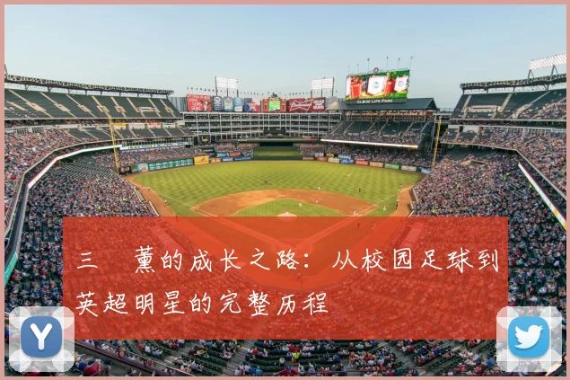 三笘薰的成长之路:从校园足球到英超明星的完整历程