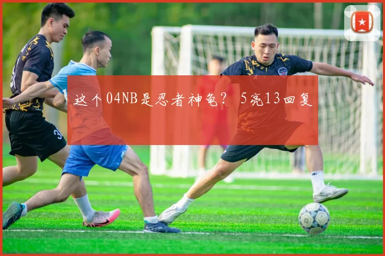 这个04NB是忍者神龟？ 5亮13回复