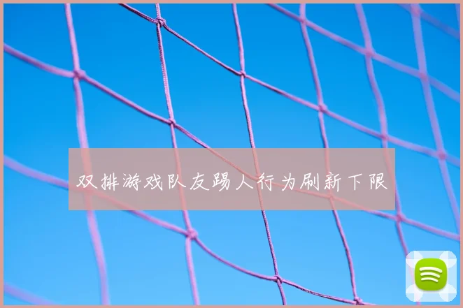 双排游戏队友踢人行为刷新下限