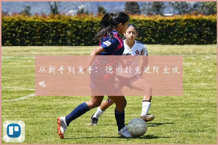 从新手到高手:德州扑克进阶全攻略
