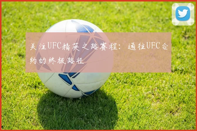 关注UFC精英之路赛程:通往UFC合约的终极路径