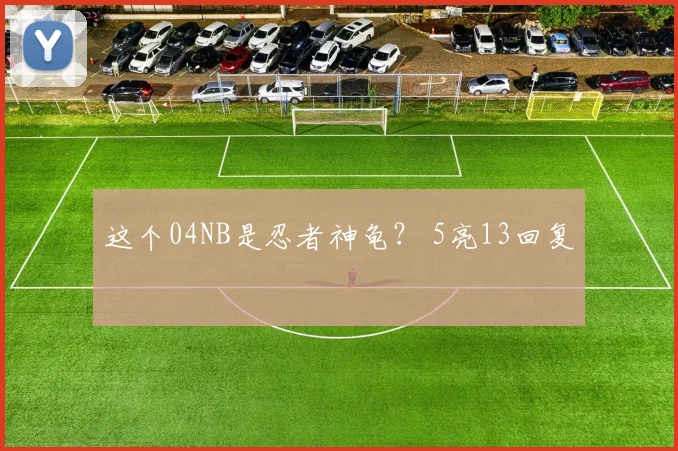 这个04NB是忍者神龟？ 5亮13回复