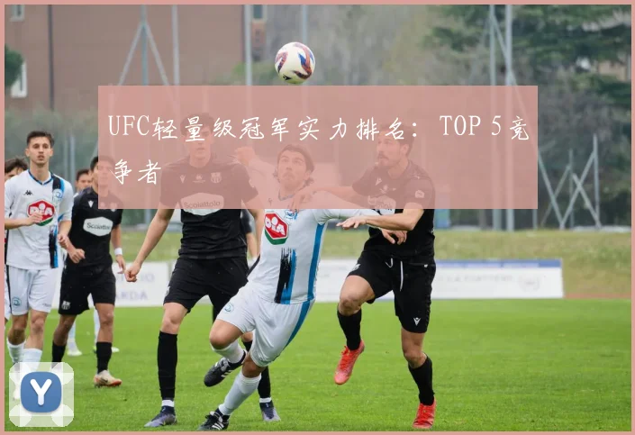 UFC轻量级冠军实力排名：TOP 5竞争者