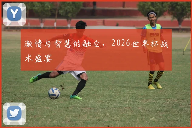 激情与智慧的融合,2026世界杯战术盛宴
