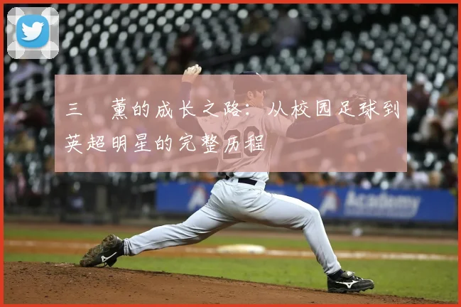 三笘薰的成长之路:从校园足球到英超明星的完整历程