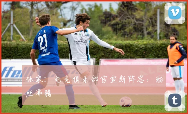 独家:电竞俱乐部官宣新阵容,粉丝沸腾