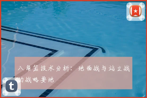 八角笼技术分析：地面战与站立战的战略要地