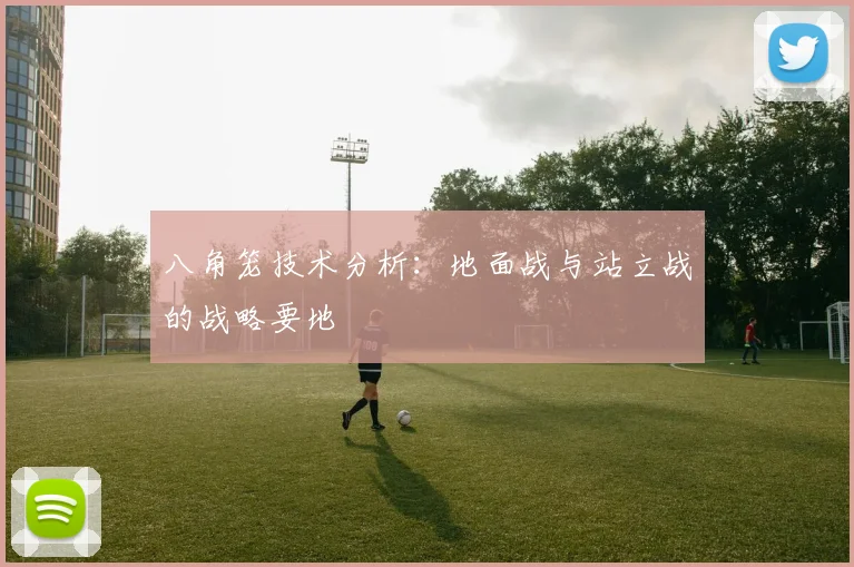 八角笼技术分析：地面战与站立战的战略要地