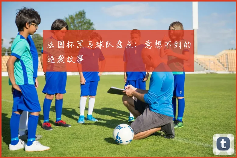 法国杯黑马球队盘点:意想不到的逆袭故事